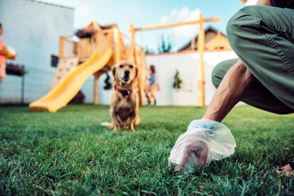 professional pooper scooper company in fontana ca