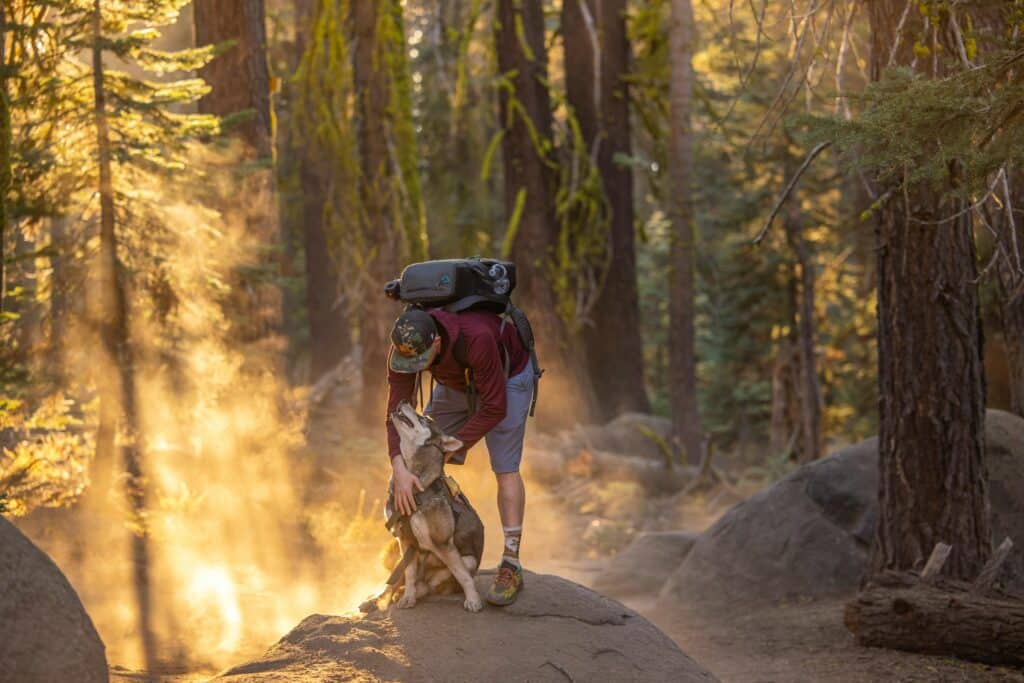 best pet friendly hiking trails in the inland empire