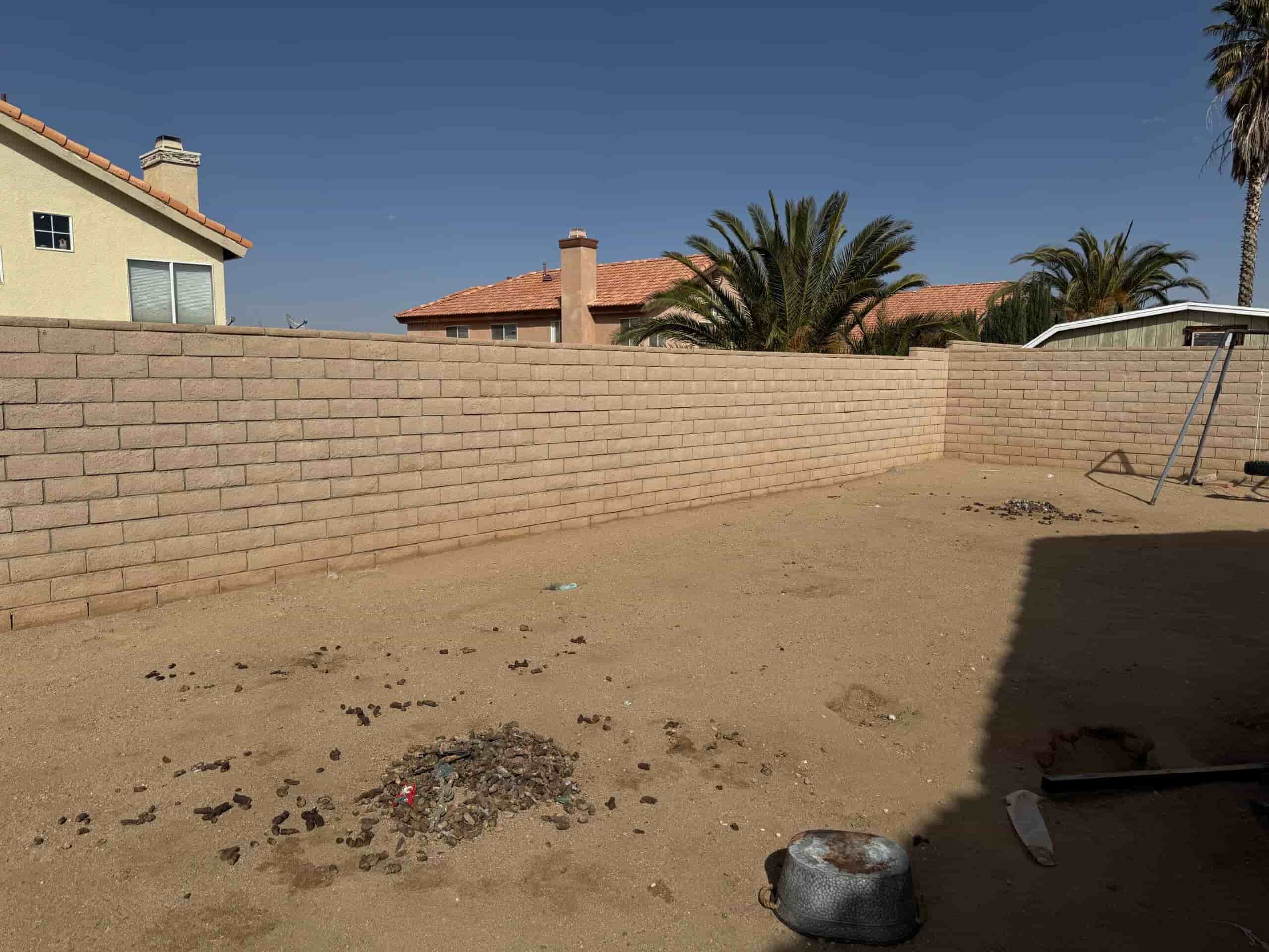 Backyard before professional dog waste removal in Rancho Cucamonga