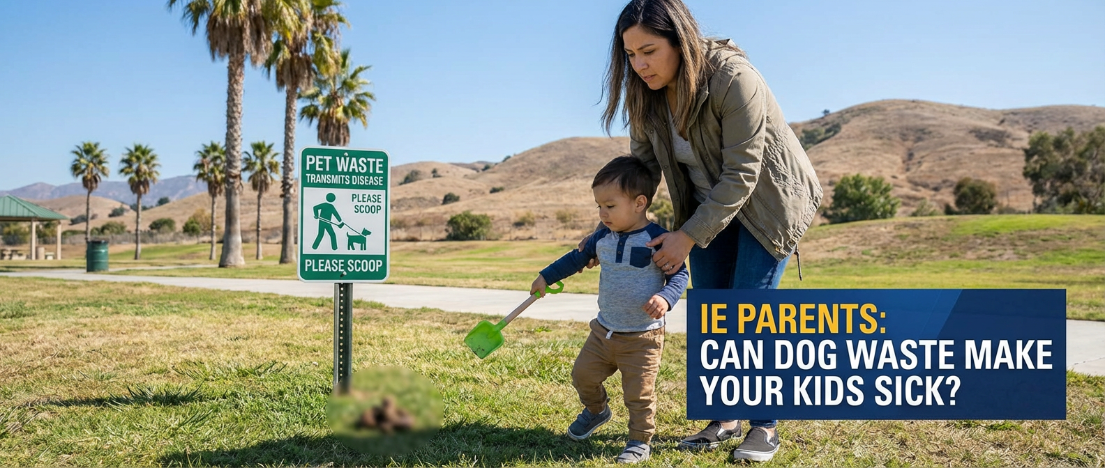 dog poop health risks children