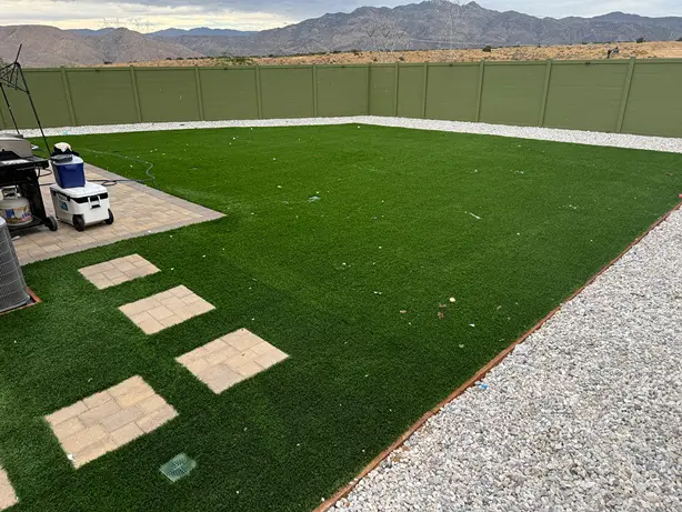 Backyard before DooGoodScoopers service