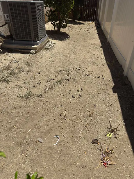 Inland Empire backyard before DooGoodScoopers service