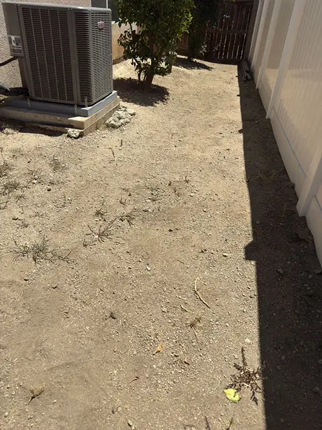 The same backyard after DooGoodScoopers cleaned it