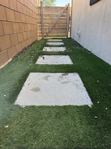 Backyard before DooGoodScoopers service